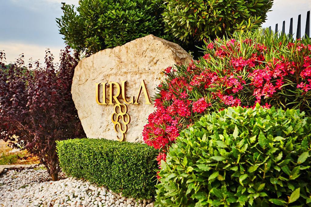 Two Rooms Hotel Urla Zewnętrze zdjęcie